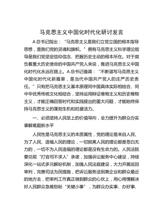 马克思主义中国化时代化研讨发言（法院）