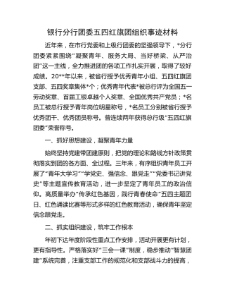 银行团委五四红旗团组织事迹材料