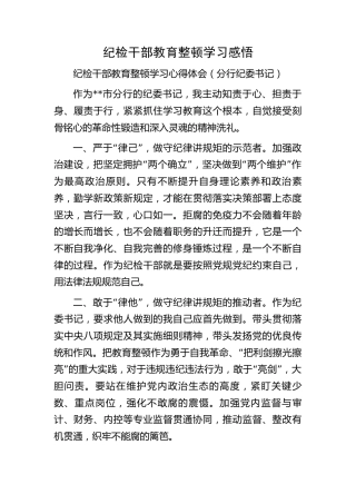 银行纪检干部教育整顿心得体会、研讨发言4篇（简单版）