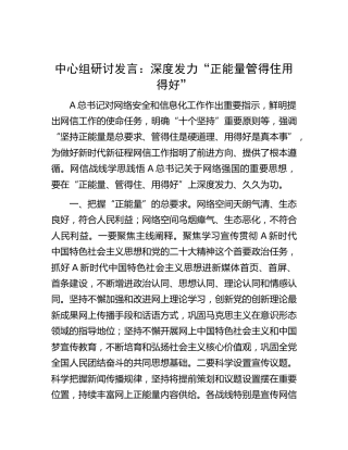 网络安全和信息化工作中心组研讨发言：深度发力“正能量 管得住 用得好”