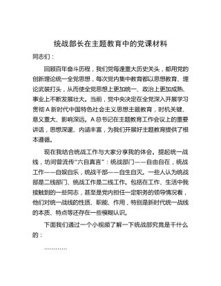 统战部长在主题教育中的党课13000字（结合统战工作）