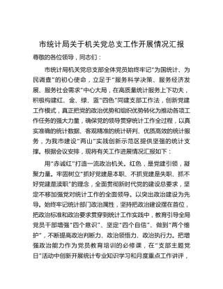 统计系统党总支工作开展情况总结汇报3800字