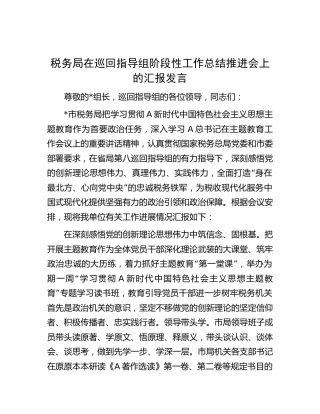 税务系统在主题教育巡回指导组工作总结推进会上的汇报