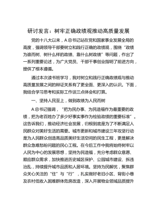 研讨发言：树牢正确政绩观推动高质量发展