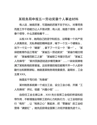 税务系统五一劳动奖章个人事迹