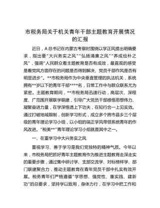 税务系统青年干部主题教育开展情况的汇报（2400字总结）