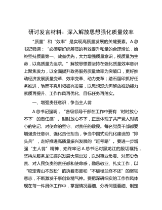 研讨发言：深入解放思想 强化质量效率