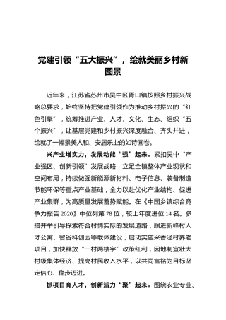 美丽乡村经验汇报：党建引领“五大振兴”，绘就美丽乡村新图景