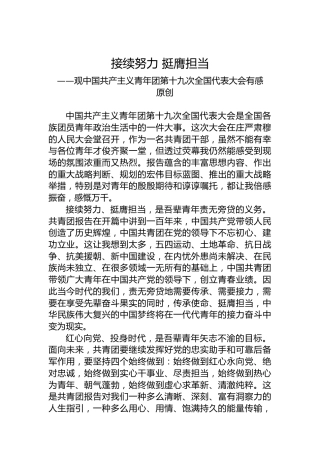 接续努力 挺膺担当——基层工作者学习共青团十九大精神心得体会