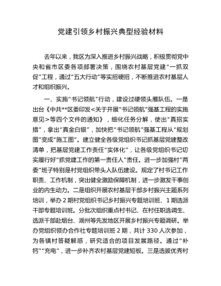党建引领乡村振兴典型经验材料