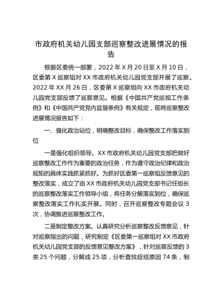 幼儿园支部巡察整改进展情况总结报告