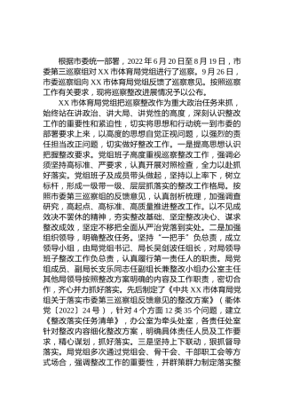 体育局关于巡察整改进展情况的总结通报3800字
