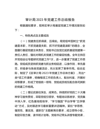区审计系统2023年党建工作总结4100字