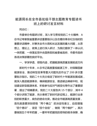 能源系统领导在主题教育专题读书班上的研讨发言