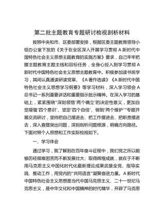 第二批主题教育专题研讨检视剖析3500字