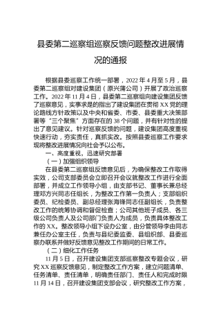 集团公司巡察反馈问题整改进展情况的通报（20230407）