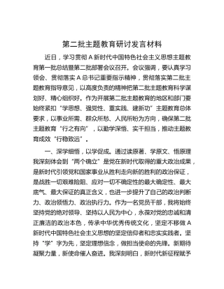 第二批主题教育研讨发言1300字