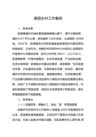美丽乡村工作案例2900字