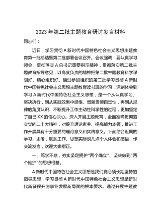 第二批主题教育研讨发言（人大3300字）