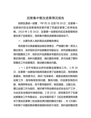 应急系统巡察集中整改进展情况总结报告