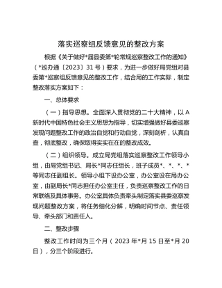 落实巡察组反馈意见的整改方案