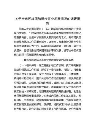 全市民族团结进步事业发展情况的调研报告