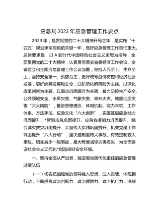 应急局2023年应急管理工作要点8100字