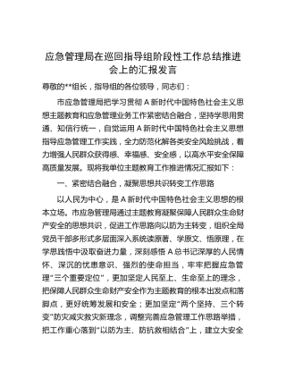 应急管理系统在主题教育巡回指导组阶段性工作总结推进会上的汇报