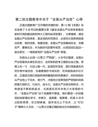 第二批主题教育关于“全面从严治党”的心得体会发言