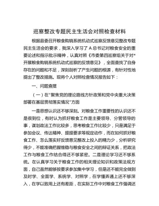 粮食购销巡察整改专题民主生活会对照检查