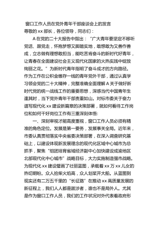 窗口工作人员在党外青年干部座谈会上的发言
