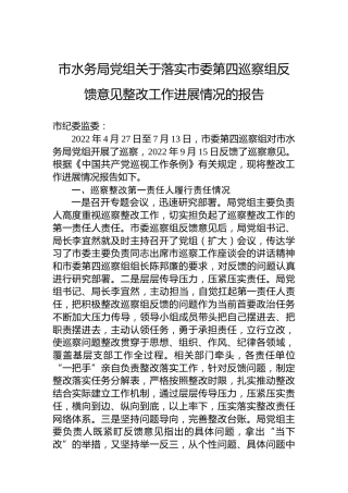 市水务局关于落实巡察组反馈意见整改工作进展情况的报告