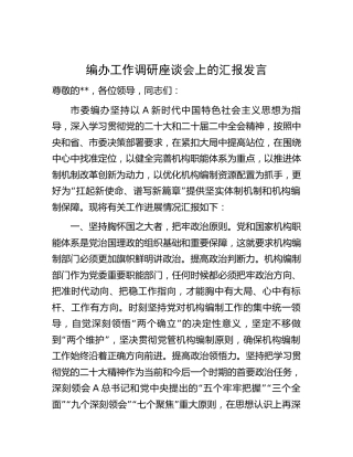 编办工作调研座谈会上的汇报发言（2800字总结）