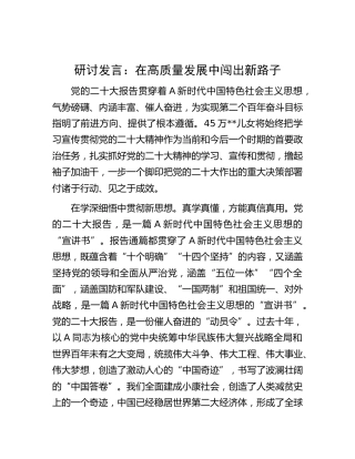 研讨发言：在高质量发展中闯出新路子（二十大）
