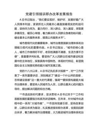 党建引领接诉即办改革发展报告