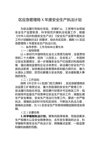 区应急管理局安全生产执法计划