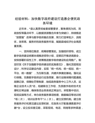 经验交流发言：加快数字政府建设打造惠企便民政务环境