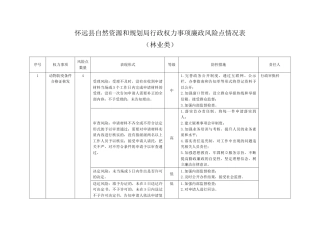 廉政风险点情况表（自然资源林业类）