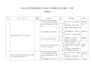 廉政风险点情况表（规划）