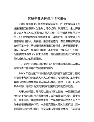 干部选拔任用情况报告