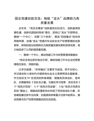 国企党建经验交流：铸就“龙头”品牌 助力高质量发展（公司）