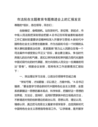 法院在主题教育专题推进会上的汇报发言（3200字总结）