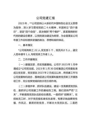 新公司党建工作总结汇报