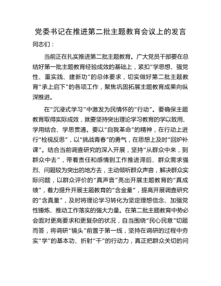 党委书记在推进第二批主题教育会议上的发言