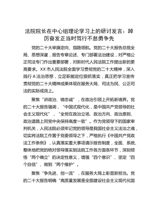 法院院长中心组二十大专题研讨发言