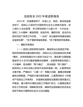 法院院长2022年度述职报告2700字