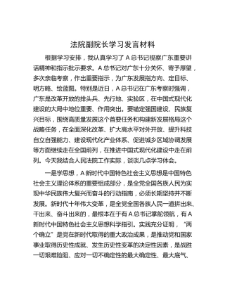 法院副院长学习广东讲话精神心得发言