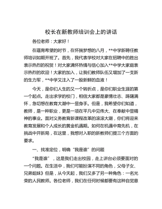 校长在新教师培训会上的讲话（学校）