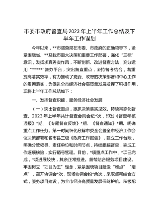督查局2023年上半年工作总结及下半年工作谋划