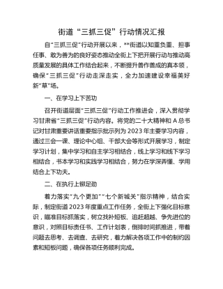 街道“三抓三促”行动情况汇报